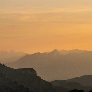 Meet your Posher, Ron